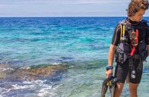 Chania Scuba Diving 2 Shore Dives(Receive Certification)
