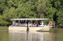 Darwin: Pathfinder Original Jumping Crocodile Cruise