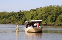 Darwin: Pathfinder Original Jumping Crocodile Cruise