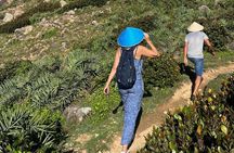Trekking and Snorkeling in Nhơn Lý