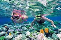 Trekking and Snorkeling in Nhơn Lý