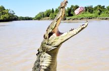 Darwin: Adelaide River Queen Original Jumping Crocodile Cruise