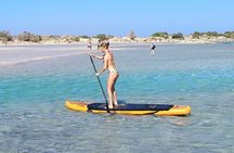 Full Day Private Minivan Tour to Elafonisi Beach and kedrodasos