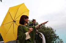Monaco: Highlights & Secrets Walking Tour