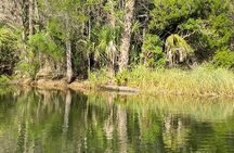 Backland Alligator Electric Paddle Tour