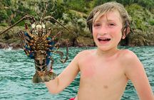 Half day Private Reef Spearfishing in Manuel Antonio