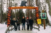 Rovaniemi: Trip to Ranua Zoo with Tickets Included