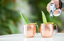 Private Mixology Experience Cocktails and Masterclasses 