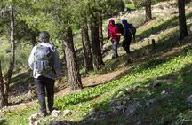 Mount Zalagh : Fès Hiking Picnic