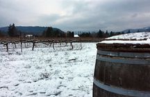 Afternoon Tour in Columbia Gorge Waterfall with Free Wine Tasting