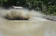 7 Waterfalls Damajagua and Dune Buggy 