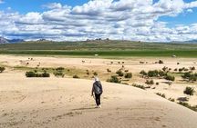 Captivating Central Mongolia with Guide