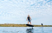 Fliteboard eFoil Group Experience in Noosa