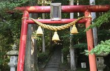 Private Hiking Tour to View Mt. Fuji