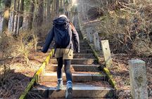 Private Hiking Tour to View Mt. Fuji