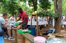 Discover Spice tour experience with Local lunch 