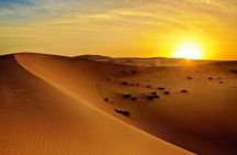 Morning Desert Safari with Quad Bike