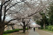 Osaka Highlights: 4Hrs Guided Walking Tour with a Native Expert