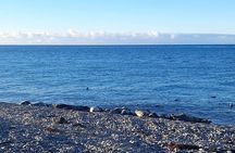 Isle of Man Wildlife & Scenic Adventure with Wildlife enthusiast