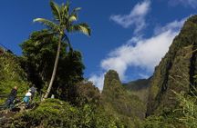 Maui Coast Slingshot Private Tour from Lahaina