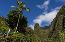 Maui Coast Slingshot Tour from Kihei