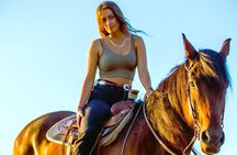 Hurghada: Sea & Desert Horseback Riding, Stargazing, Dinner, Show