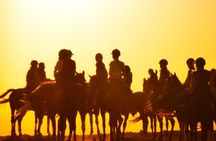 Hurghada: Sea & Desert Horseback Riding, Stargazing, Dinner, Show