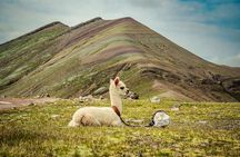 Palccoyo Rainbow Mountains Full Day Tour from Cusco