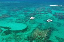 Punta Cana: Catamaran Tour, Reef Snorkeling and Unlimited Drinks!