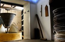 Oleotourism and olive oil tasting in Seville - Private tour