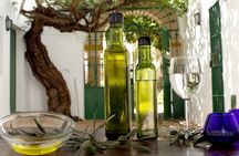 Oleotourism and olive oil tasting in Seville - Private tour