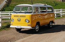 Malibu: Vintage VW Bus and Vineyard Tour