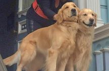 Blue Painted Lady House Tour - Interior Guided Tour by Owner