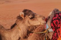 3 Days Deep Merzouga Desert Tour from Marrakech 