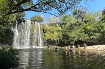 Private Sloth's Rainforest Tour & Llanos Del Cortez Waterfalls