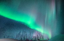Capturing the Ethereal Beauty: Northern Lights Photo Workshop