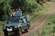 Scenic Day Trip to Aberdares National Park