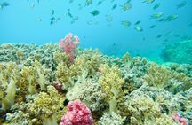 Private Snorkeling Tour Nha Trang Included Lunch And Snorkel Gear