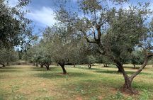 Kefalonia Farm Tour on E-Bikes