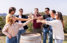 Montserrat Full Day Tour with Farmhouse Lunch and Winery Visit