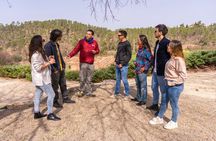 Montserrat Full Day Tour with Farmhouse Lunch and Winery Visit