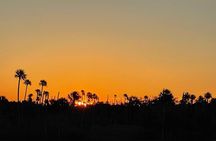 King's Bay Sunset Cruise