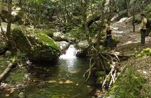  From Catania, Syracuse and Taormina: fly fishing experience