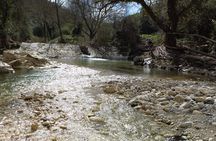 From Catania, Syracuse and Taormina: fly fishing experience