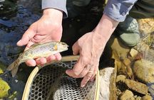  From Catania, Syracuse and Taormina: fly fishing experience