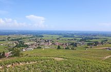 Beaujolais Day Guided Tour - Winery Tours and Tastings