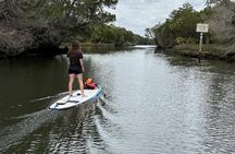 Backland Alligator Electric Paddle Tour