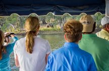 Victoria Falls Sunset Cruise 