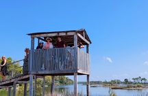 Karavasta Lagoon Adventure: Boat & Wildlife Tour from Durrës