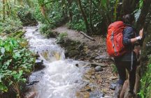 Trekking/Hiking/Acaime Cocora Valley from Pereira/Armenia